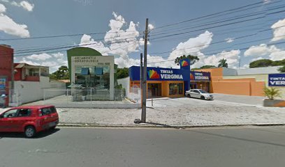 Loja Tintas Verginia